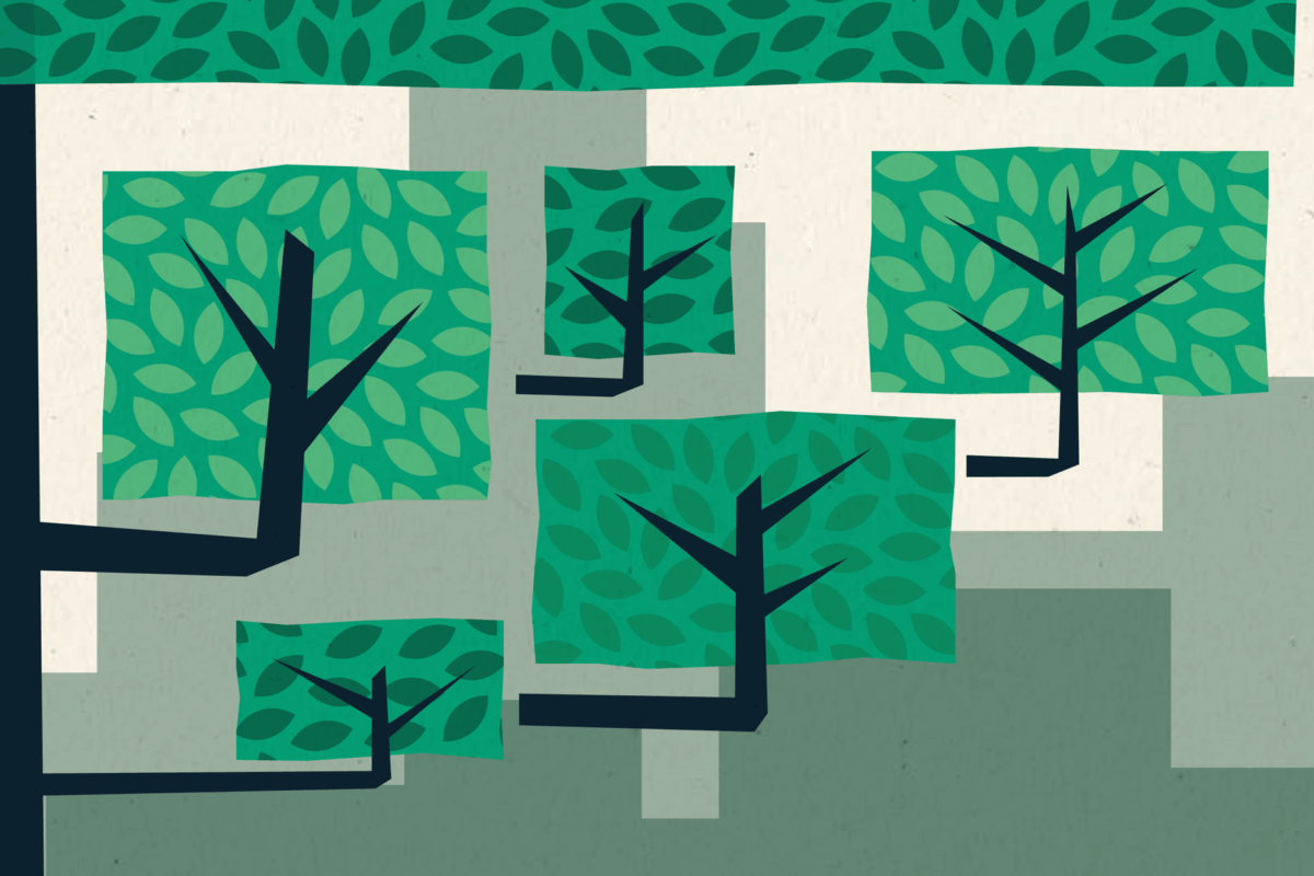 Illustration of stylized trees with blocky green leaves and black trunks.
